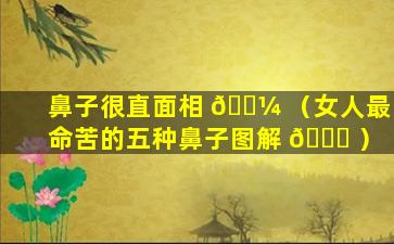 鼻子很直面相 🐼 （女人最命苦的五种鼻子图解 🐘 ）